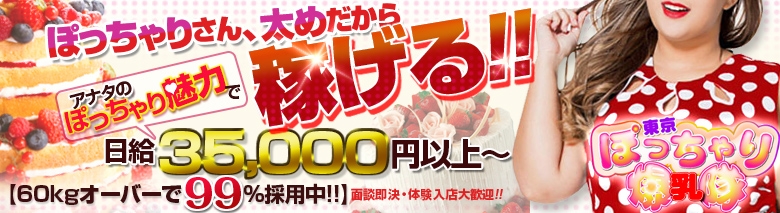 東京ぽっちゃり爆乳隊