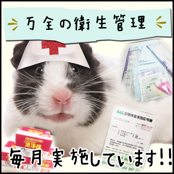 GHR_店舗イメージ写真3
