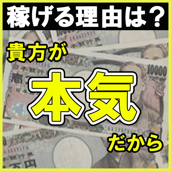 激安の伝道ボッキホーテ_店舗イメージ写真1