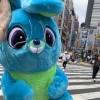 けんけん_写真