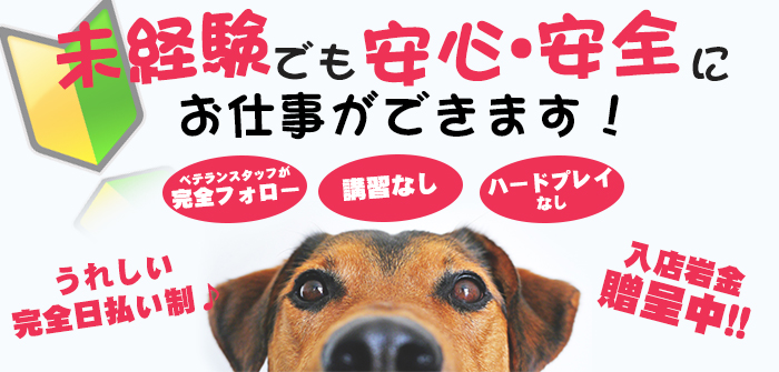 未経験特集_7644