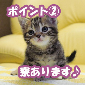 出稼ぎ特集_ポイント2_4500