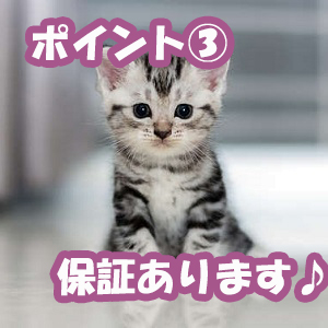 出稼ぎ特集_ポイント3_4500