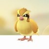 ポッポマラソン_写真