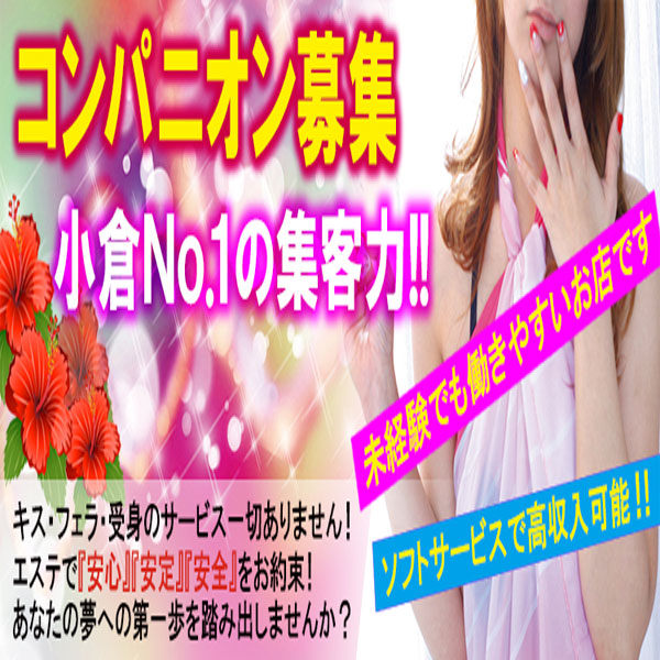 癒しのマカロン_店舗イメージ写真1