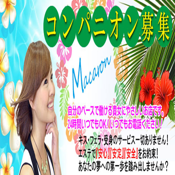 癒しのマカロン_店舗イメージ写真3