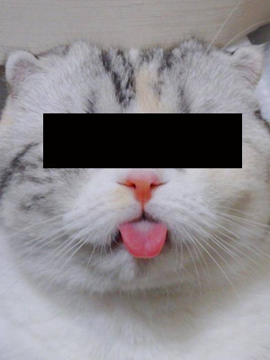 M_写真