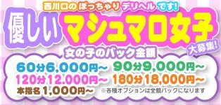 ぽちゃメイド 