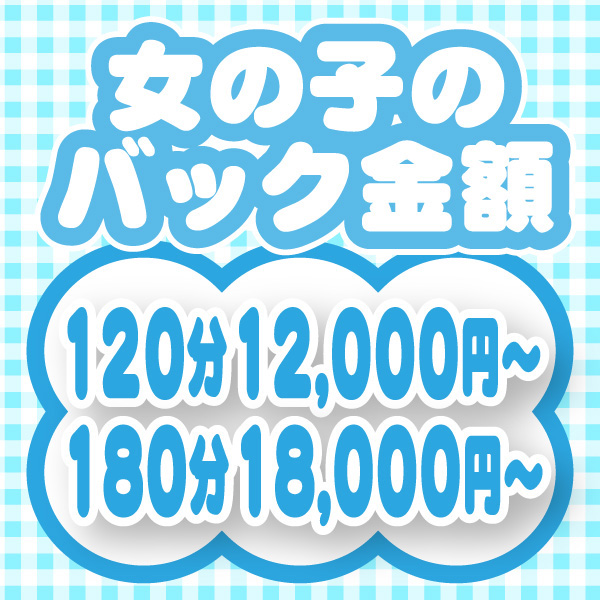 ぽちゃメイド _店舗イメージ写真2