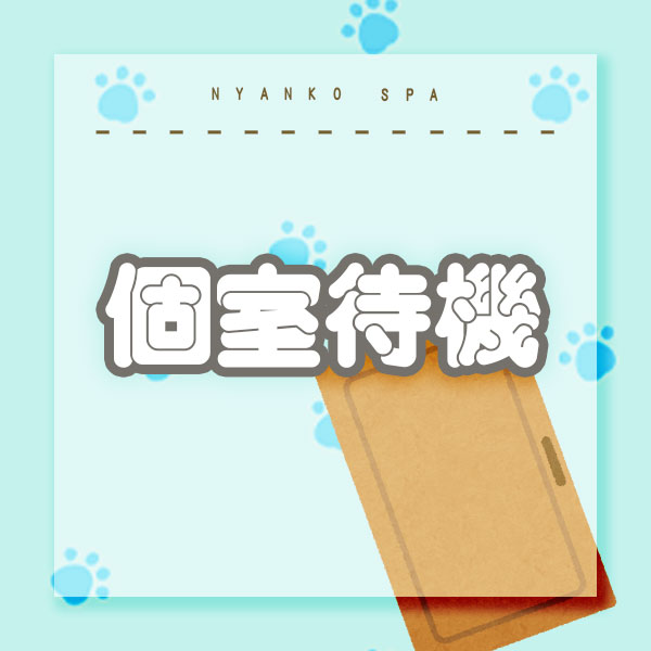 にゃんこスパ天王寺店_店舗イメージ写真3