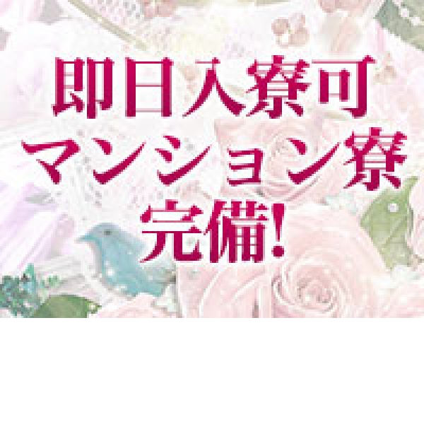 艶ドレス_店舗イメージ写真2