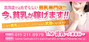 The 貧乳～人妻専科～