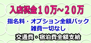 ルックコレクション