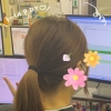 さくらい_写真
