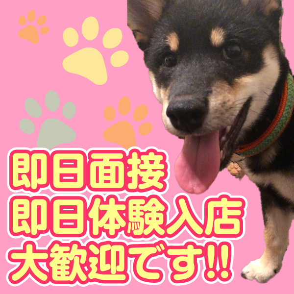 大塚デリヘル倶楽部_店舗イメージ写真2