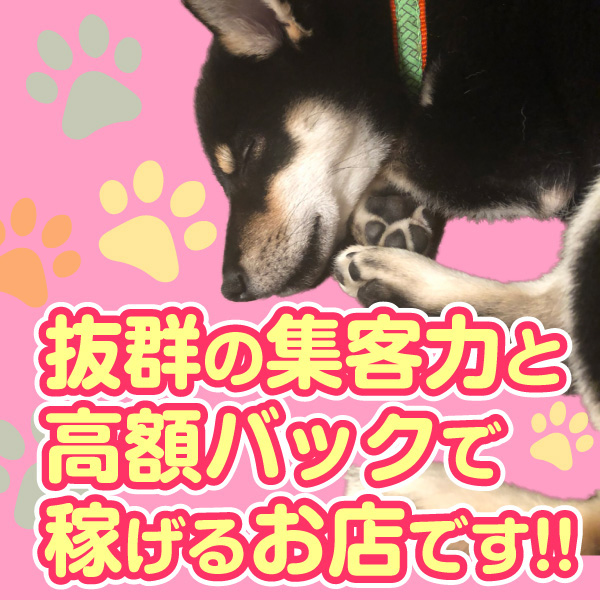大塚デリヘル倶楽部_店舗イメージ写真3