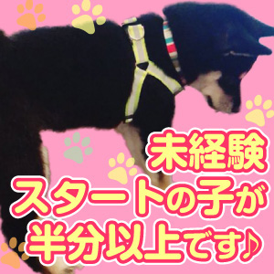 未経験特集_ポイント1_3684