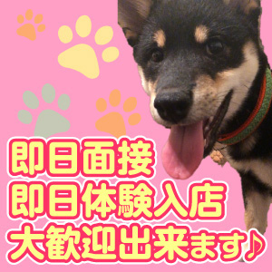未経験特集_ポイント2_3684