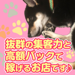 未経験特集_ポイント3_3684