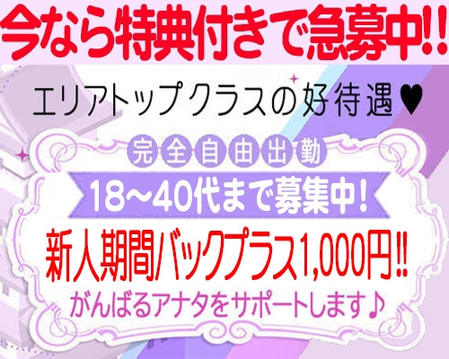 ニュー不夜城