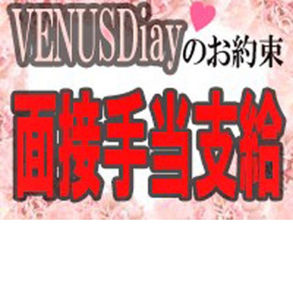 VENUS Diary_店舗イメージ写真2