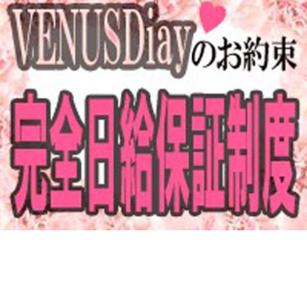 VENUS Diary_店舗イメージ写真3