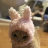 maro_写真