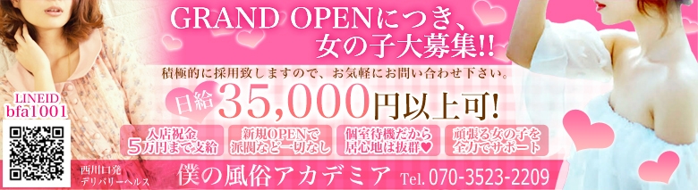 僕の風俗アカデミア