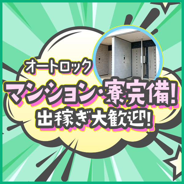 超ハプニング痴漢電車in船橋_店舗イメージ写真3