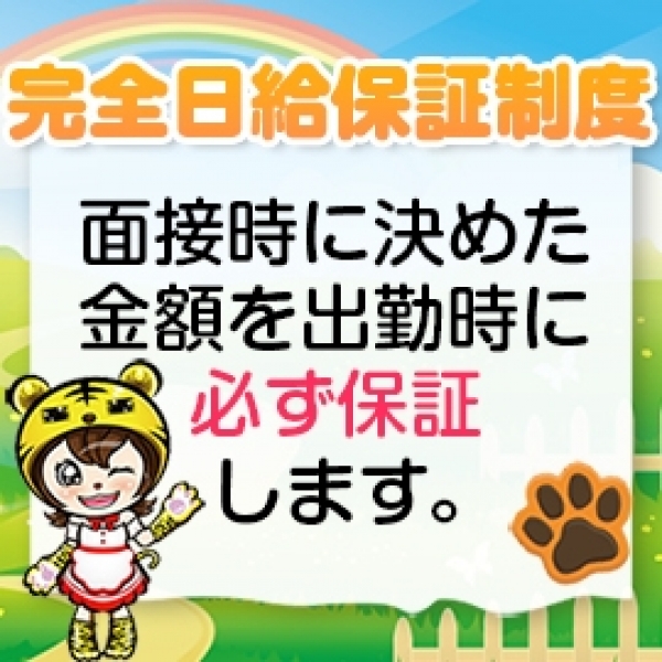 とらのあな梅田店_店舗イメージ写真1