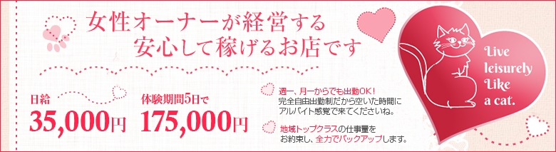 エプロンレディ