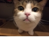 坂本_写真