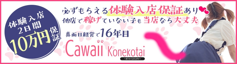 Cawaii Konekotai~かわいい子猫隊~