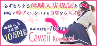 Cawaii Konekotai～かわいい子猫隊～