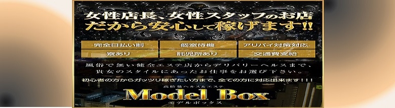 Model Box