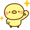 ひよこ_写真