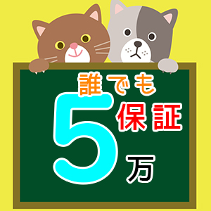 出稼ぎ特集_ポイント2_7867