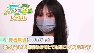 しらほしインタビュー
