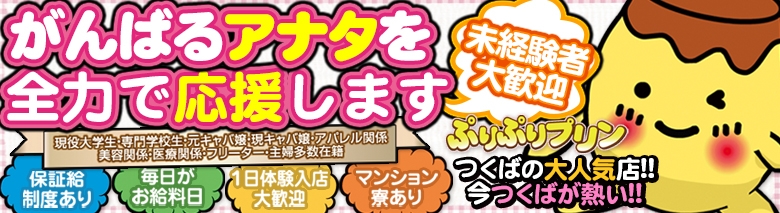 ぷりぷりプリン つくば店