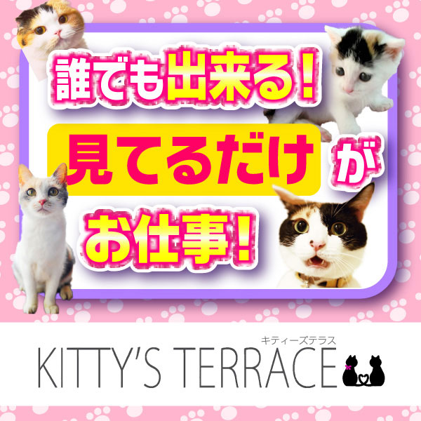 キティーズテラス渋谷店_店舗イメージ写真3