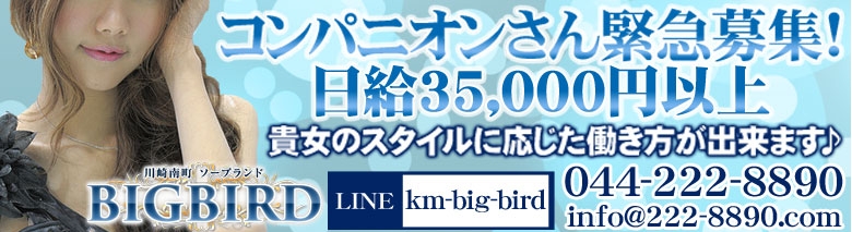 ビッグバード