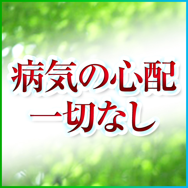 MAMALAND(ままランド)_店舗イメージ写真3