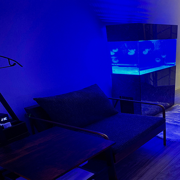 Jellyfish 銀座Room_店舗イメージ写真3