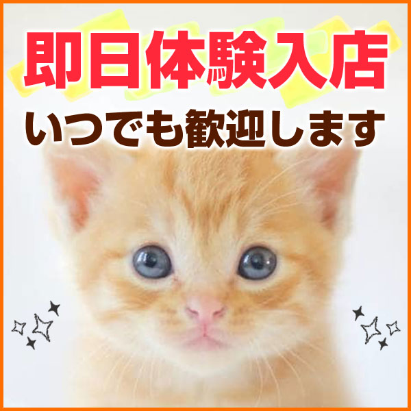 Dolce Vita_店舗イメージ写真1