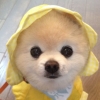 たくみん_写真