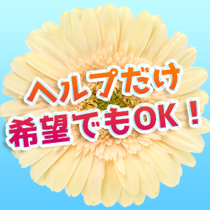 未経験特集_ポイント2_2664