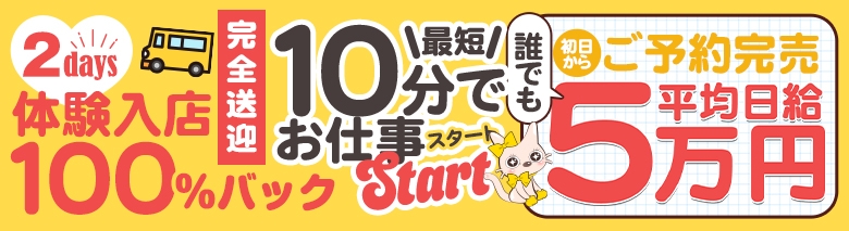 やんちゃな子猫 京橋店