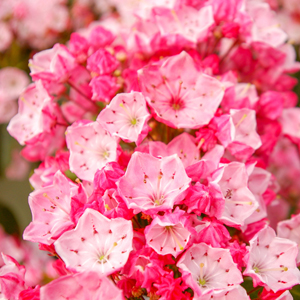 未経験特集_ポイント1_2511