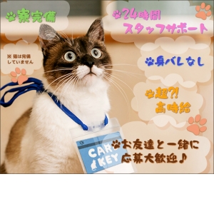 未経験特集_ポイント2_4228