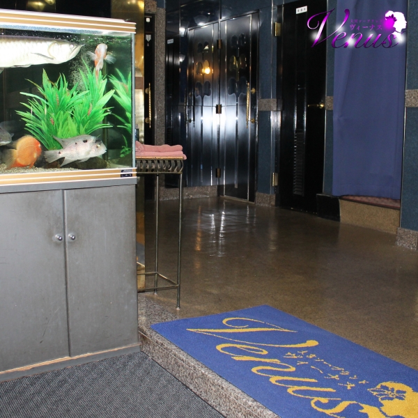 Venus(ヴィーナス)_店舗イメージ写真2